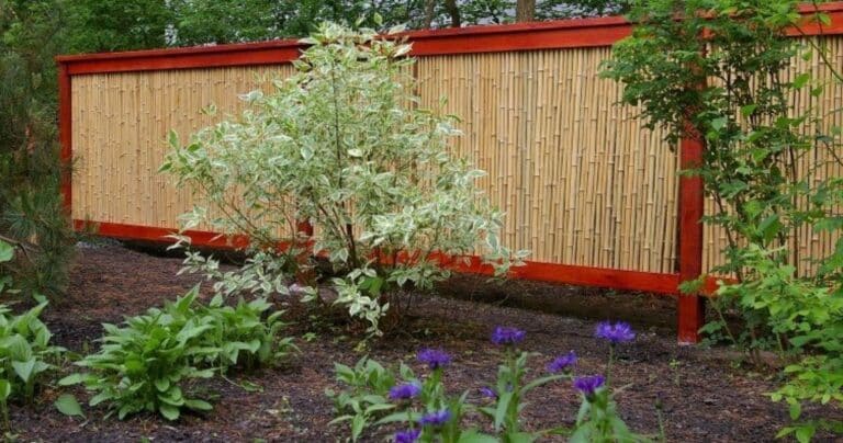 mur bambou extérieur de la vie à votre jardin