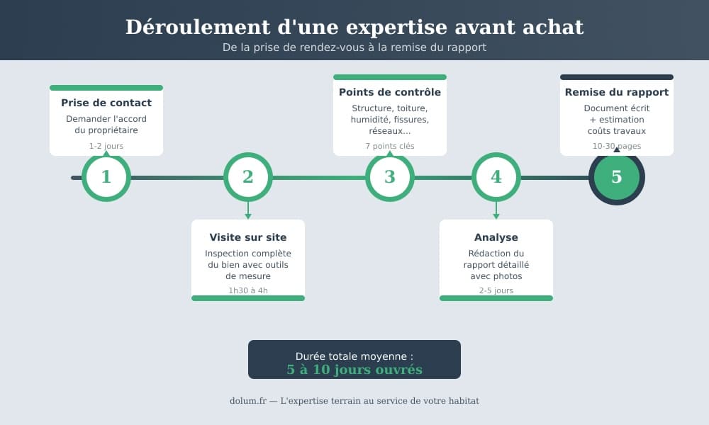 infographie timeline expertise