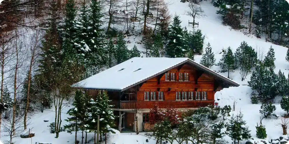 façade bois avec toiture à deux pans, environnement alpin, lumière naturelle