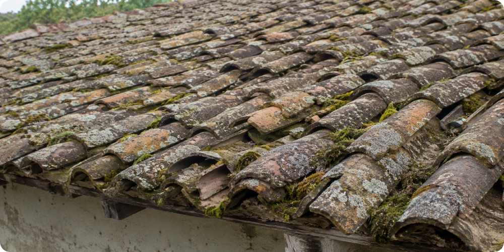Toiture ancienne avec tuiles décalées et mousses, signes de réfection nécessaire