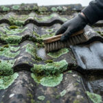 Une main gantée frotte une tuile ancienne couverte de lichen vert avec une brosse en bois.