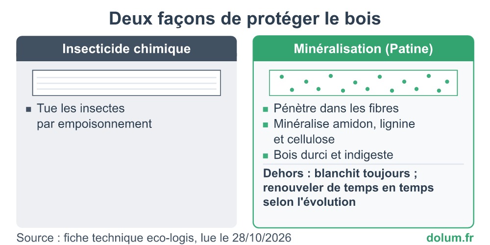 Schéma comparant un insecticide qui empoisonne les insectes et la Patine de l’Indien qui minéralise les fibres du bois